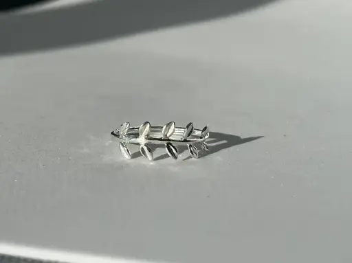 Anillo rama