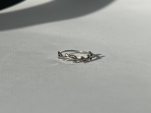 Anillo rama pequeña